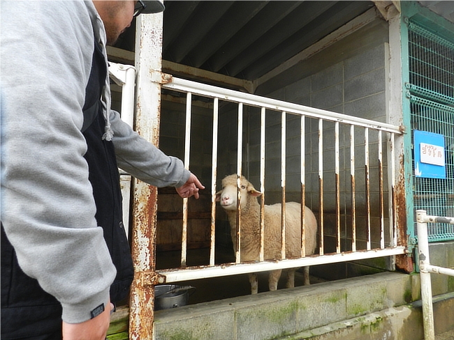 グレイブ・テイカーのデニムジャケット袖のタグ