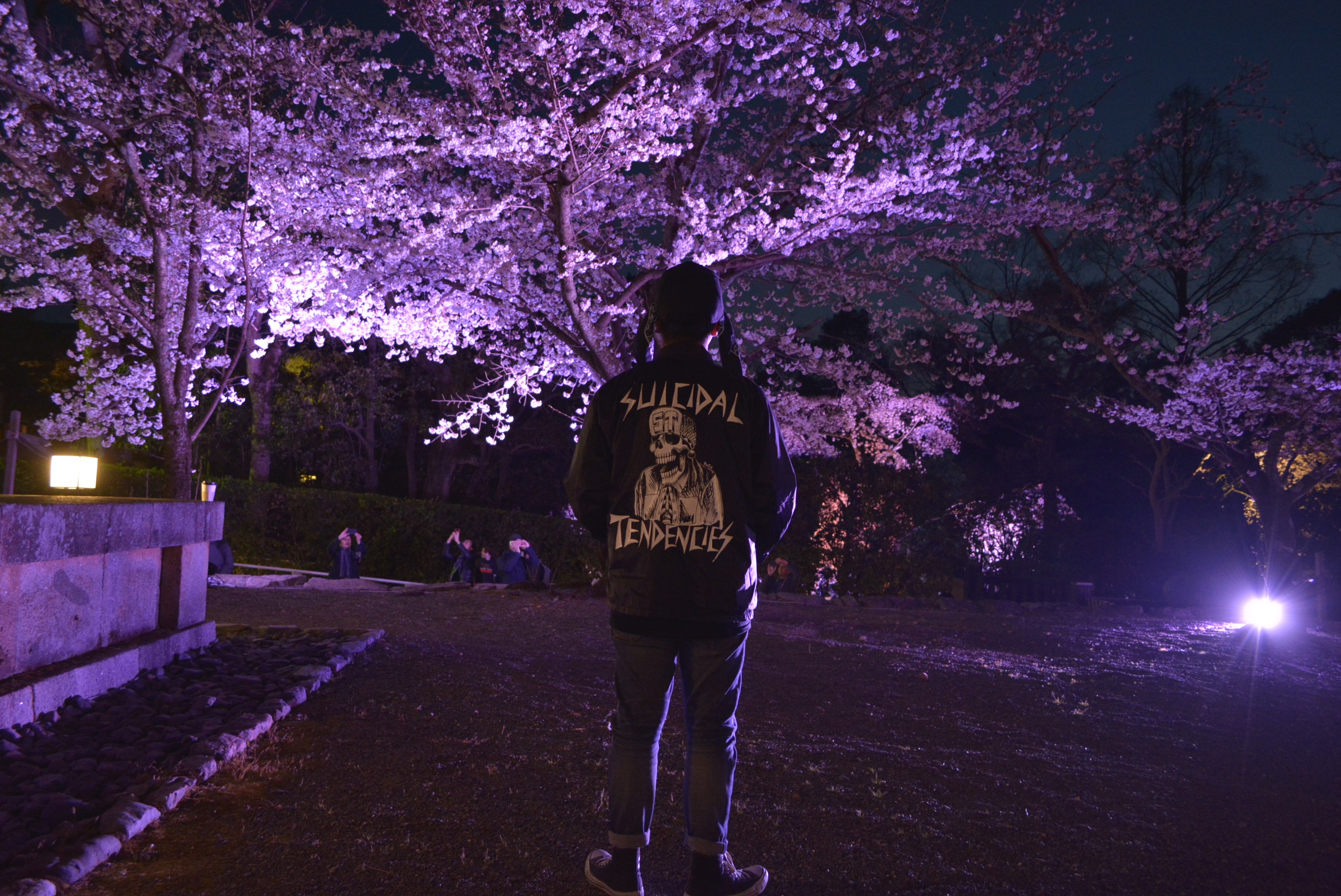 Suicidal Tendencies　夜桜